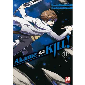 Akame ga Kill 11