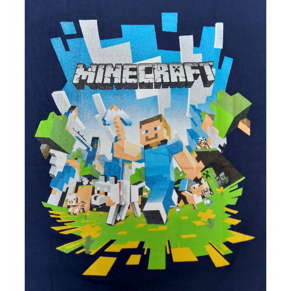 Minecraft Tshirt/Kinder