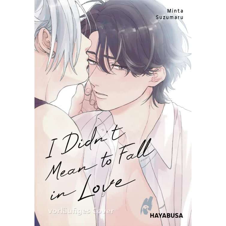 I Didn´t Mean to Fall in Love