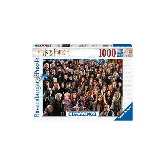 Harry Potter Challenge Puzzle Cast (1000 Teile)