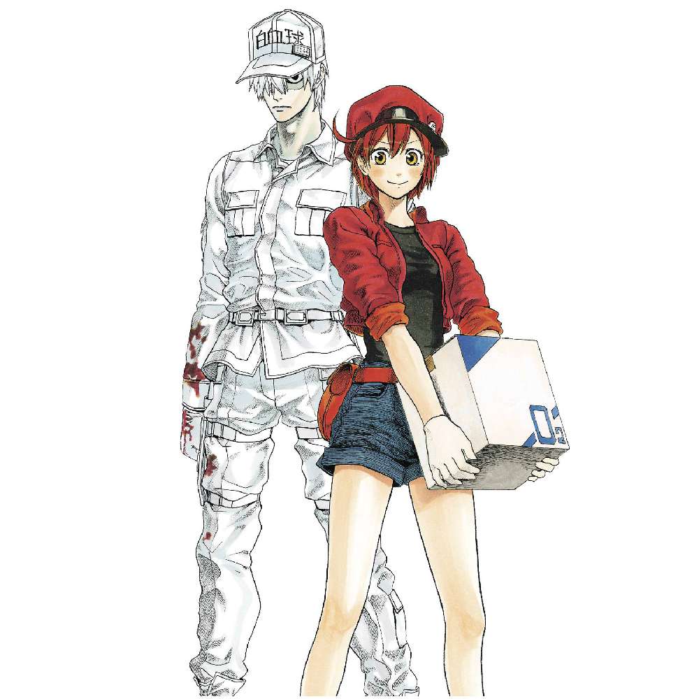 CELLS AT WORK COMP BOX SET (C: 1-1-0)
