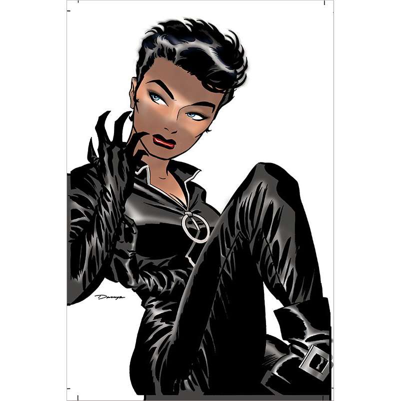 Catwoman von Ed Brubaker 1 (von 3)